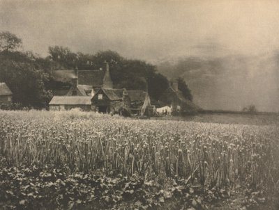 The Onion Field - 1890 by George Davison
