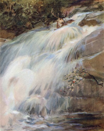 Illustration for The Story of a Red Deer by George Denholm Armour