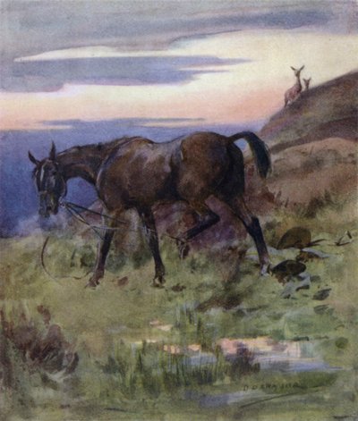 Illustration for The Story of a Red Deer by George Denholm Armour