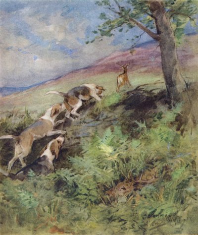 Illustration for The Story of a Red Deer by George Denholm Armour