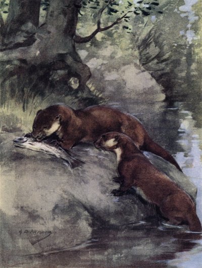 They Left a Bonnie Grilse on the Scarp by George Denholm Armour