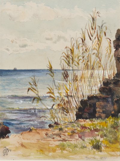 At San Remo Looking Over the Mediterranean, 10th January 1878 by George Douglas Tinling