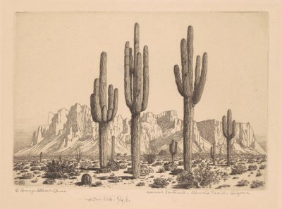 Desert Sentinels, Apache Trail, Arizona by George Elbert Burr