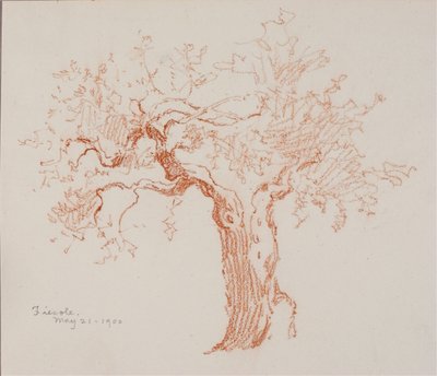 Fiesole by George Elbert Burr
