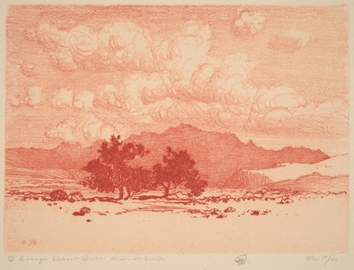 Palo Verde Trees by George Elbert Burr