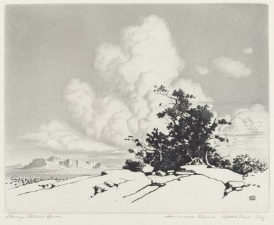 Summer Cloud, Apache Trail, Arizona by George Elbert Burr