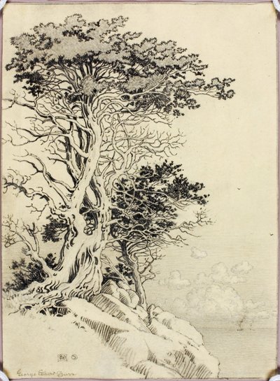 Untitled (drawing for print) by George Elbert Burr