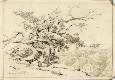 Untitled (transfer drawing for Evening, Apache Trail, Arizona) by George Elbert Burr