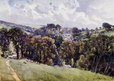 Camelford by George Franck Nicholls