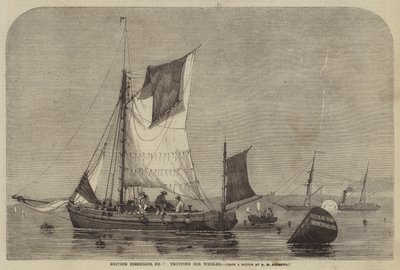 British Fisheries, No. 7, Trotting for Whelks by George Henry Andrews