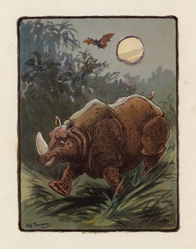 Rhinoceros by George Henry Thompson