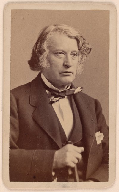 Charles Sumner by George Kendall Warren