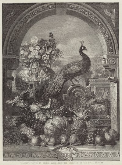 Harold by George Lance