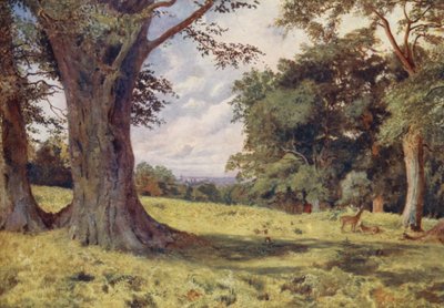 A Glade in Windsor Great Park by George Moore Henton