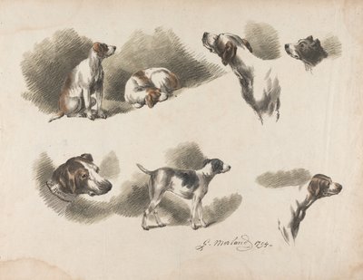 Seven Studies on Hound on One Sheet. 