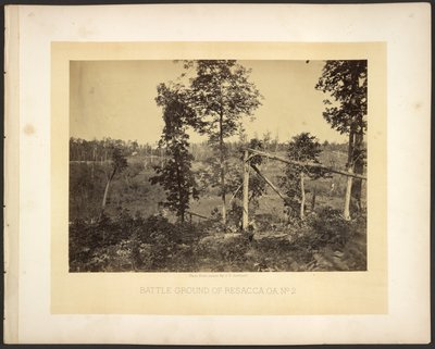 Battle Ground of Resaca, Georgia No. 2 by George N. Barnard