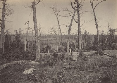 Battle Ground of Resacca, Georgia by George N. Barnard