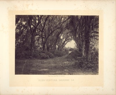 Buen-Ventura, Savannah, Georgia by George N. Barnard