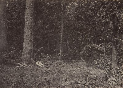 Scene of General McPherson