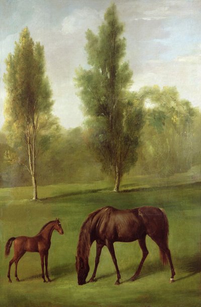 A Chestnut Mare and Foal in a Wooded Landscape, c.1761-63 by George Stubbs