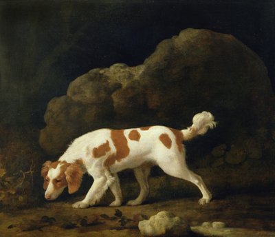 A Spaniel by George Stubbs