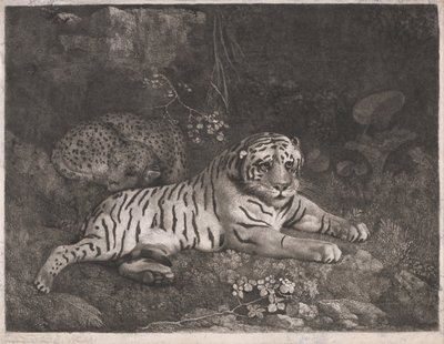 A Tiger and a Sleeping Leopard by George Stubbs