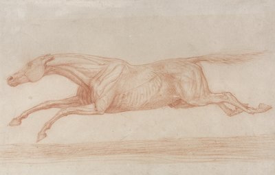 Study of a Racehorse in Action: galloping to the left by George Stubbs