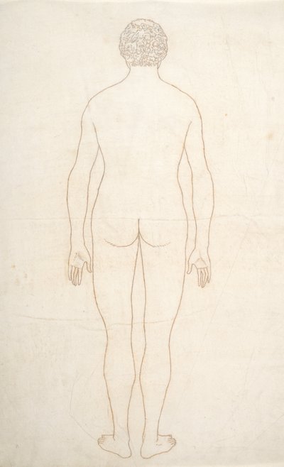 Study of the Human Figure, Posterior View, from A Comparative Anatomical Exposition of the Structure of the Human Body with that of a Tiger and a Common Fowl, c.1795-1806 by George Stubbs