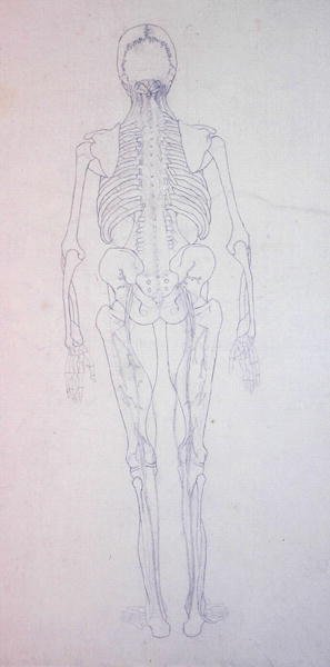 Study of the Human Figure, Posterior View, from A Comparative Anatomical Exposition of the Structure of the Human Body with that of a Tiger and a Common Fowl, c.1795-1806 by George Stubbs