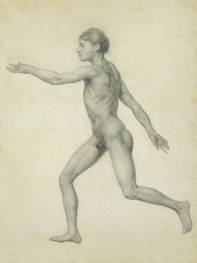 The Entire Human Figure from the Left, lateral view, from the series 
