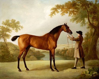 Tristram Shandy, a Bay Racehorse Held by a Groom in an Extensive Landscape, c.1760 by George Stubbs