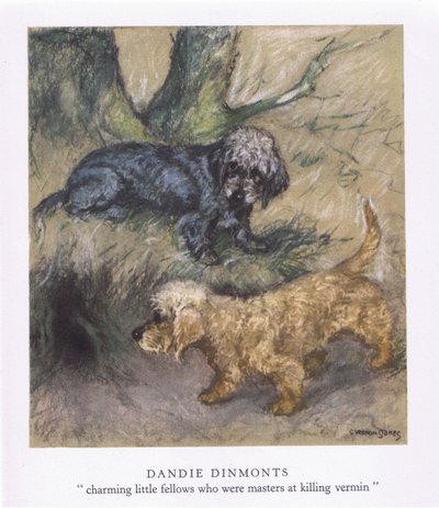 Dandie Dimonts by George Vernon Stokes