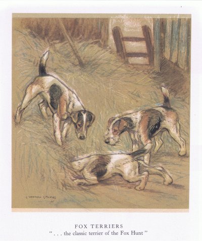 Fox Terriers by George Vernon Stokes
