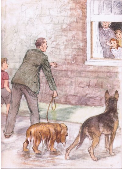 The spaniels were dripping with mud and slime, from Pets Limited published by Collins by George Vernon Stokes