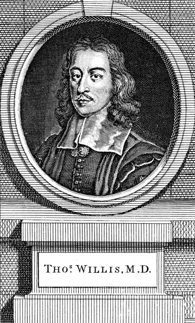 Thomas Willis, 17th Century English Physician, 1742 by George Vertue