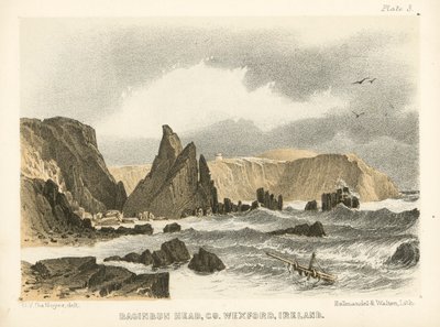 Baginbun Head, Co Wexford, Ireland by George Victor Du Noyer