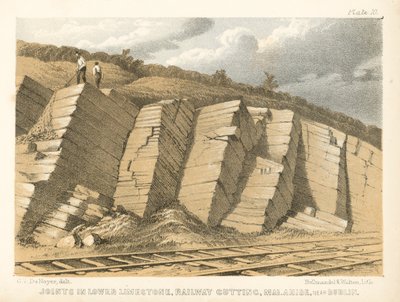 Joints in Lower Limestone, Railway Cutting, Malahide, near Dublin by George Victor Du Noyer