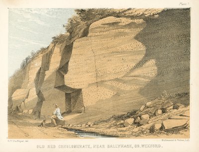 Old Red Conglomerate, Near Ballyhack, Co Wexford by George Victor Du Noyer
