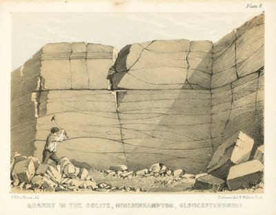 Quarry in the Oolite, Minchinhampton, Gloucestershire by George Victor Du Noyer