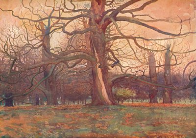 Study of an Oak Tree by George Wilson