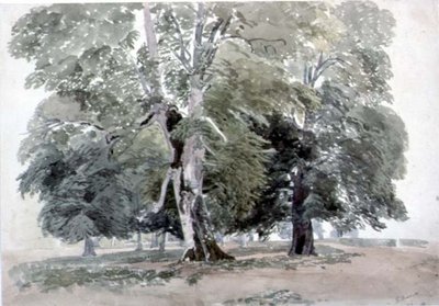 Study of Trees by George the Younger Barret