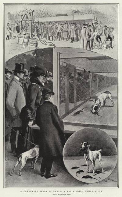A Favourite Sport in Paris, A Rat-killing Competition by Georges Bertin Scott