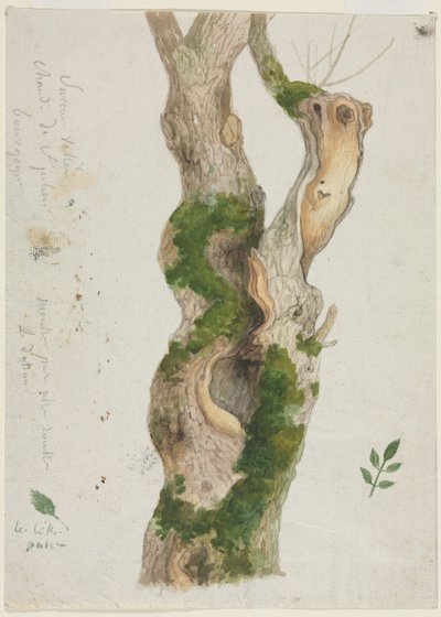 Study of a Tree Trunk by Georges Michel