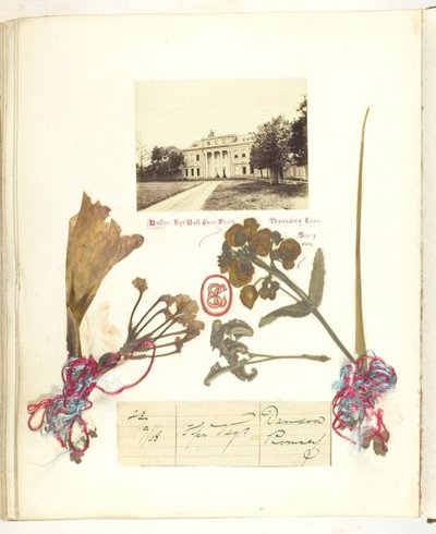 Untitled [View of Broadlands with Dried Flowers] by Georgina Cowper