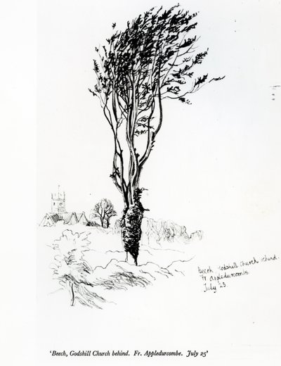 Beech, Godshill Church Behind. Fr. Appledurcombe. July 25, c.1860