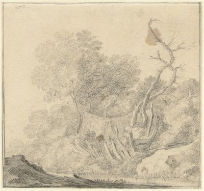 Houses Between Trees by Water by Gerard ter Borch (II) (possibly)