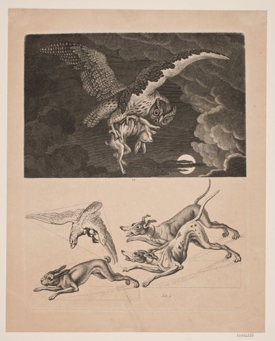 Board with Owl Flying with Hare Below; Dogs, Hare, and Hunting Falcon by Gerhard Ludvig Lahde