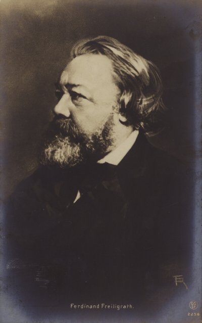 Ferdinand Freiligrath (1810-1876), German Poet by German Photographer