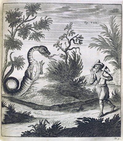 A Fearful Dragon by German School