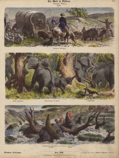 Africa by German School